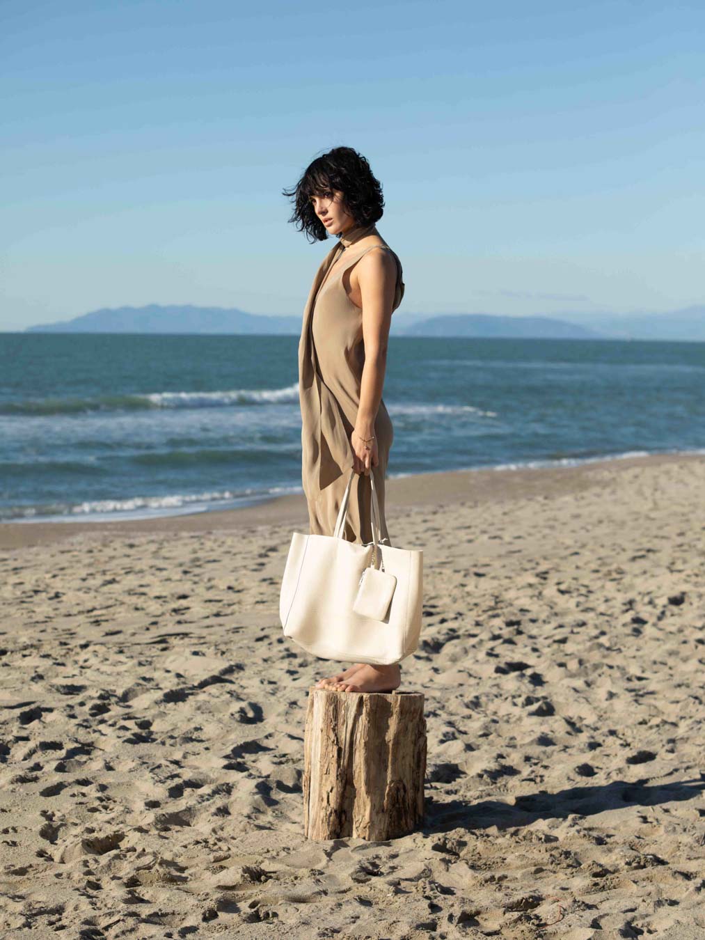 Classic 100% Leather Tote